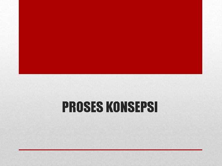 PROSES KONSEPSI PROSES KONSEPSI