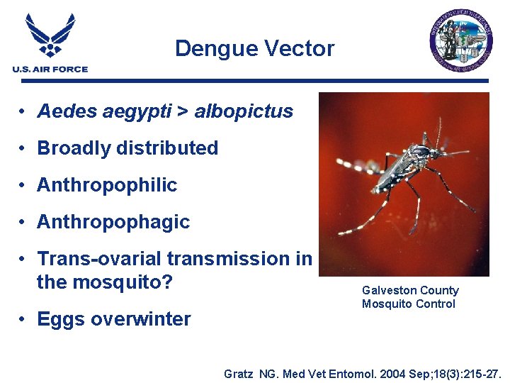 Dengue Vector • Aedes aegypti > albopictus • Broadly distributed • Anthropophilic • Anthropophagic Dengue Vector • Aedes aegypti > albopictus • Broadly distributed • Anthropophilic • Anthropophagic