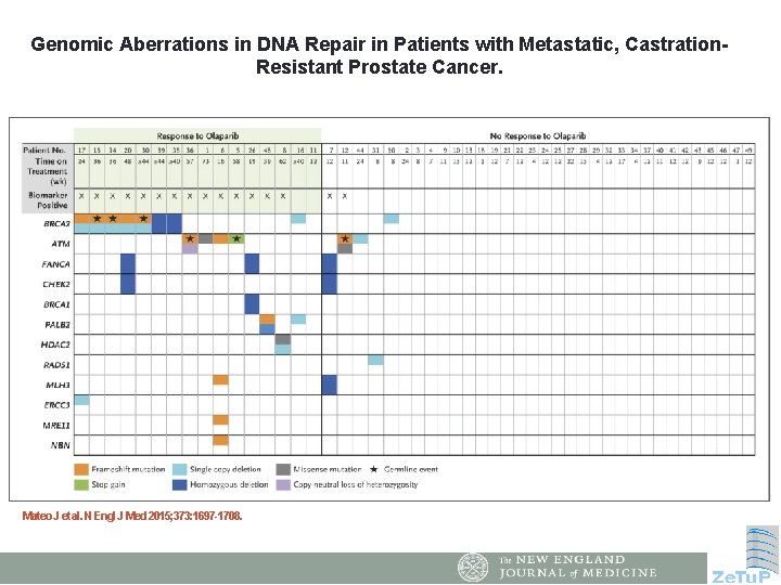Genomic Aberrations in DNA Repair in Patients with Metastatic, Castration. Resistant Prostate Cancer. Mateo