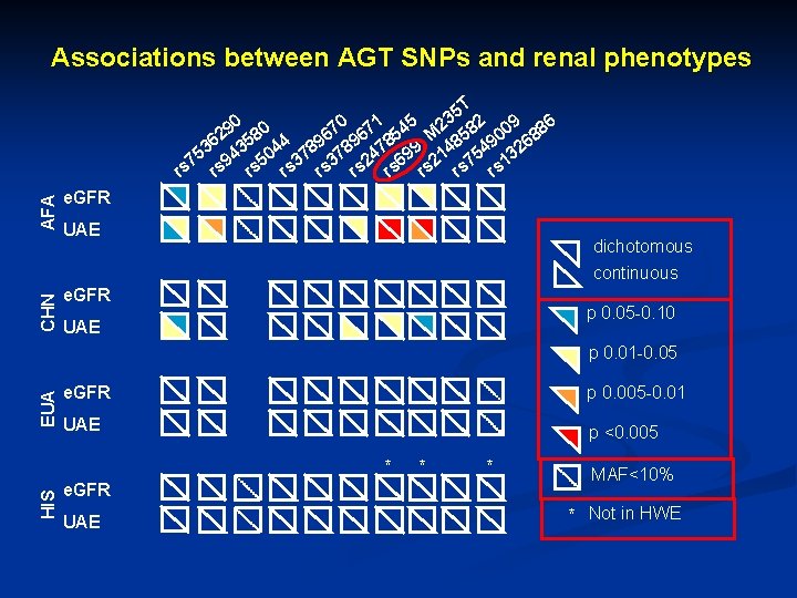 Associations between AGT SNPs and renal phenotypes CHN AFA 5 T 3 0 1