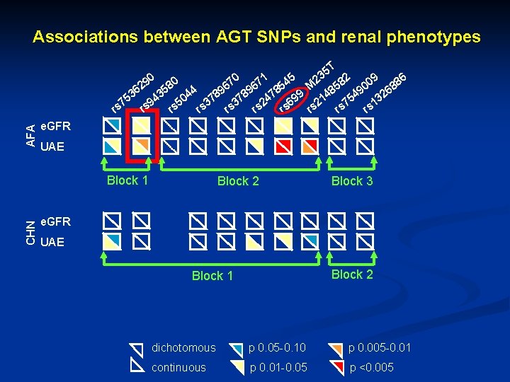 Associations between AGT SNPs and renal phenotypes 5 T 3 1 5 2 0