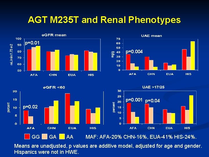 AGT M 235 T and Renal Phenotypes p=0. 01 p=0. 004 p=0. 001 p=0.