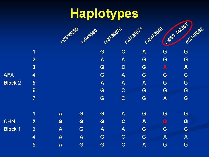 Haplotypes 0 29 80 5 3 6 rs AFA Block 2 CHN Block 1