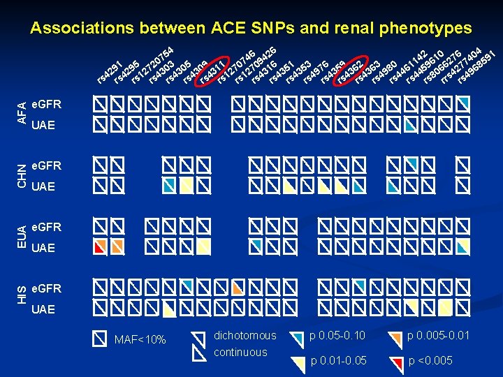 Associations between ACE SNPs and renal phenotypes AFA e. GFR CHN e. GFR EUA