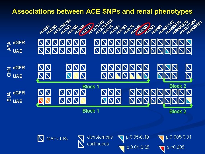 Associations between ACE SNPs and renal phenotypes AFA e. GFR EUA e. GFR CHN
