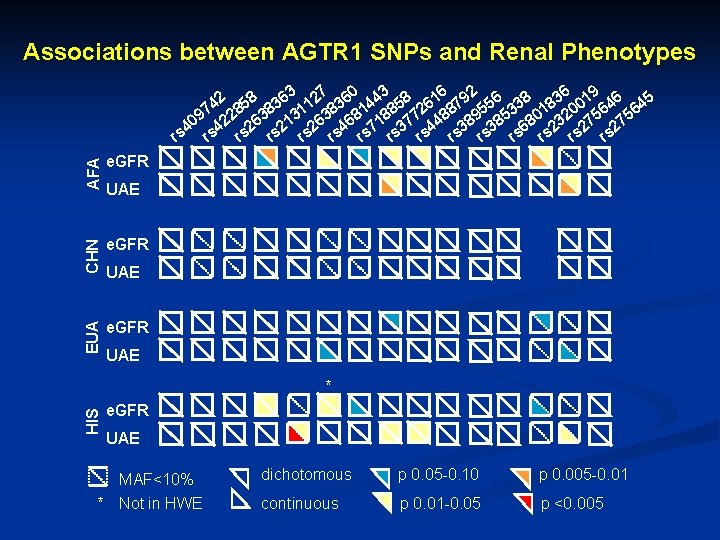 Associations between AGTR 1 SNPs and Renal Phenotypes AFA e. GFR CHN e. GFR