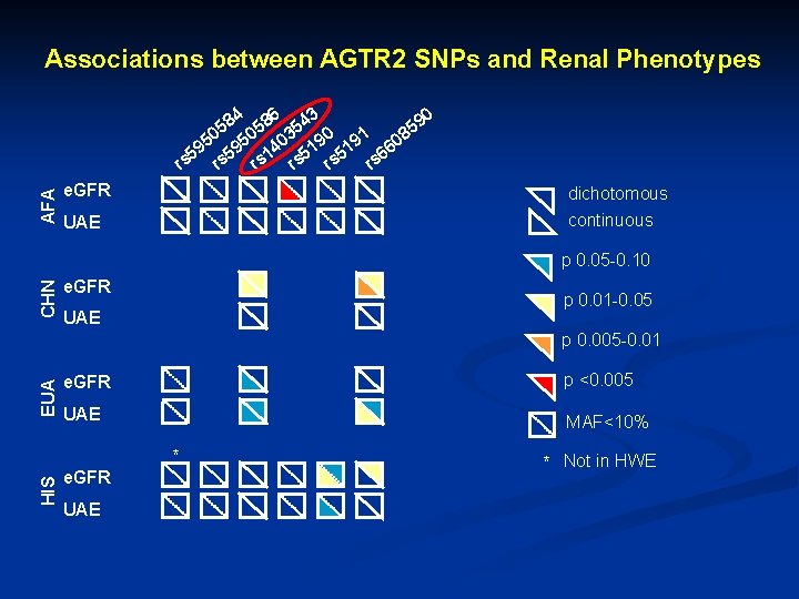 Associations between AGTR 2 SNPs and Renal Phenotypes AFA 90 84 586 543 5