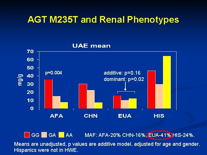 AGT M 235 T and Renal Phenotypes additive: p=0. 16 dominant: p=0. 02 p=0.