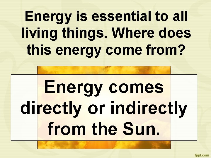 Energy is essential to all living things. Where does this energy come from? Energy