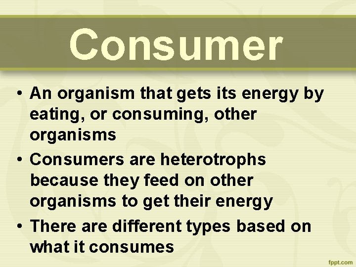 Consumer • An organism that gets its energy by eating, or consuming, other organisms