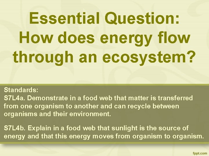 Essential Question: How does energy flow through an ecosystem? Standards: S 7 L 4