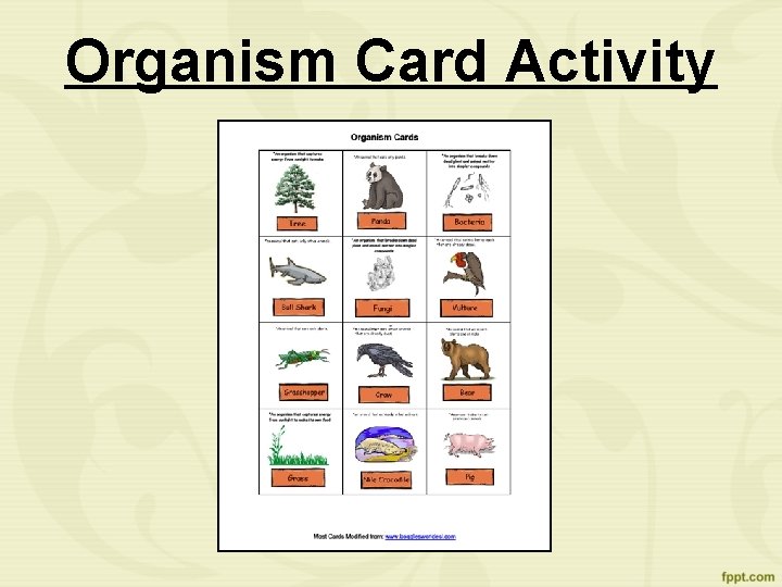 Organism Card Activity 