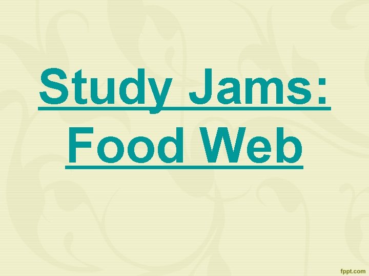 Study Jams: Food Web 