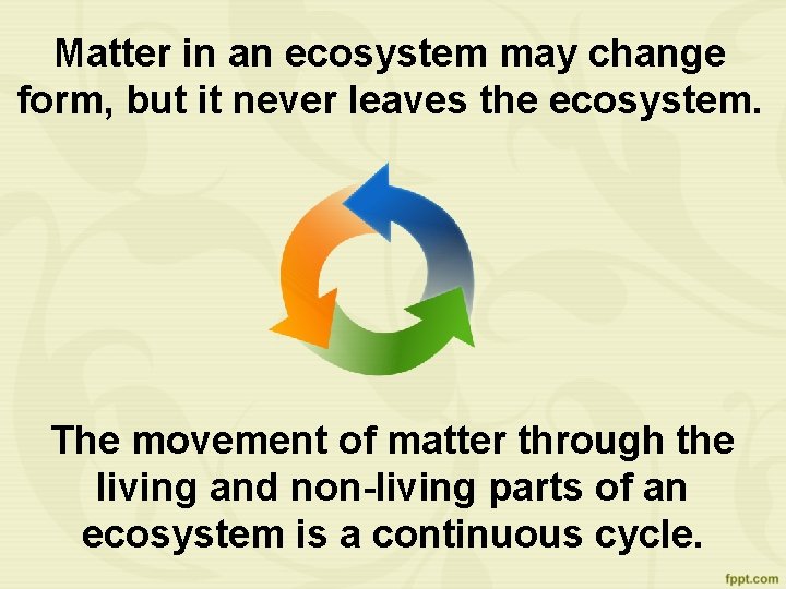 Matter in an ecosystem may change form, but it never leaves the ecosystem. The