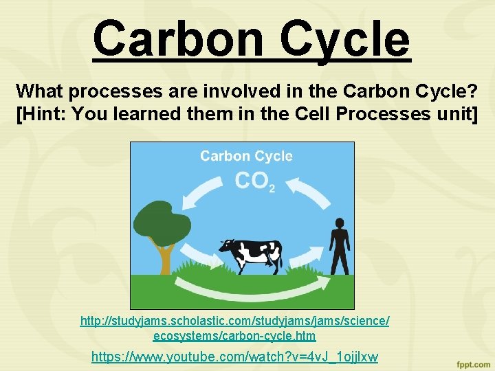 Carbon Cycle What processes are involved in the Carbon Cycle? [Hint: You learned them