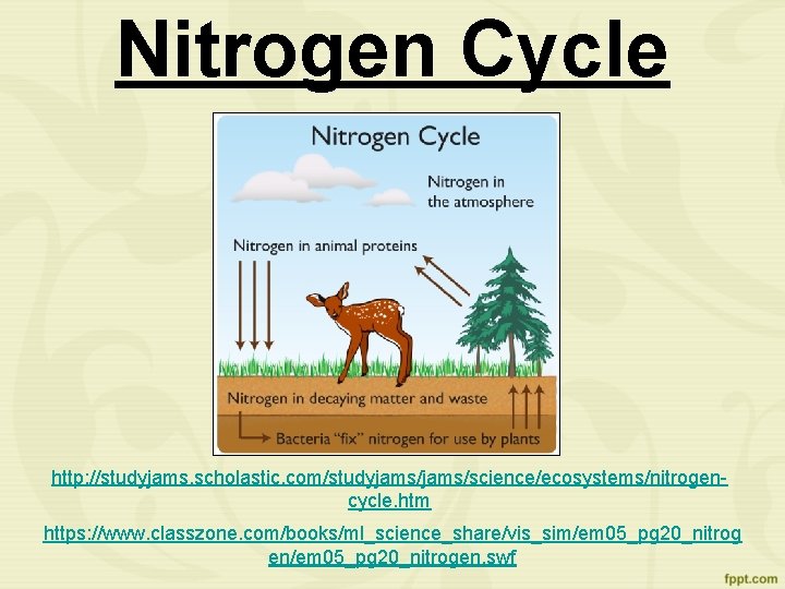 Nitrogen Cycle http: //studyjams. scholastic. com/studyjams/science/ecosystems/nitrogencycle. htm https: //www. classzone. com/books/ml_science_share/vis_sim/em 05_pg 20_nitrog en/em