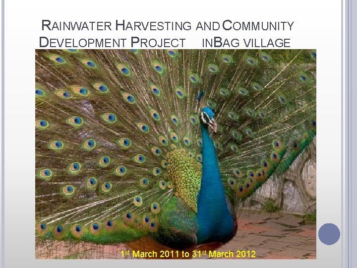 RAINWATER HARVESTING AND COMMUNITY DEVELOPMENT PROJECT INBAG VILLAGE 1 st March 2011 to 31