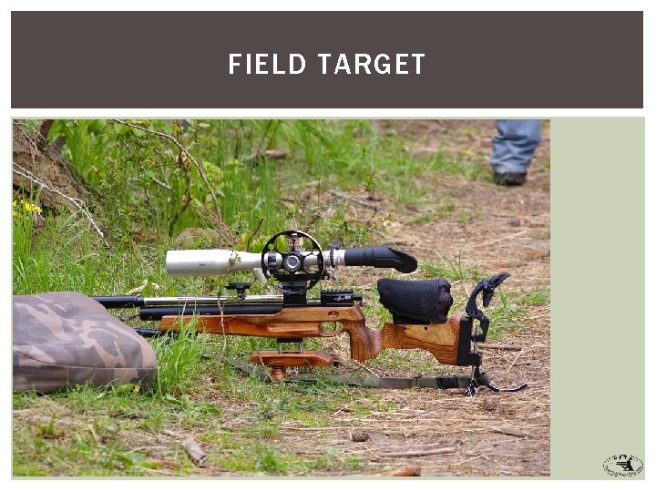FIELD TARGET 