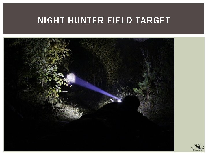 NIGHT HUNTER FIELD TARGET 