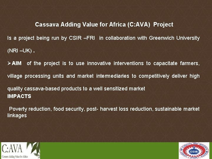 Cassava Adding Value for Africa (C: AVA) Project Is a project being run by