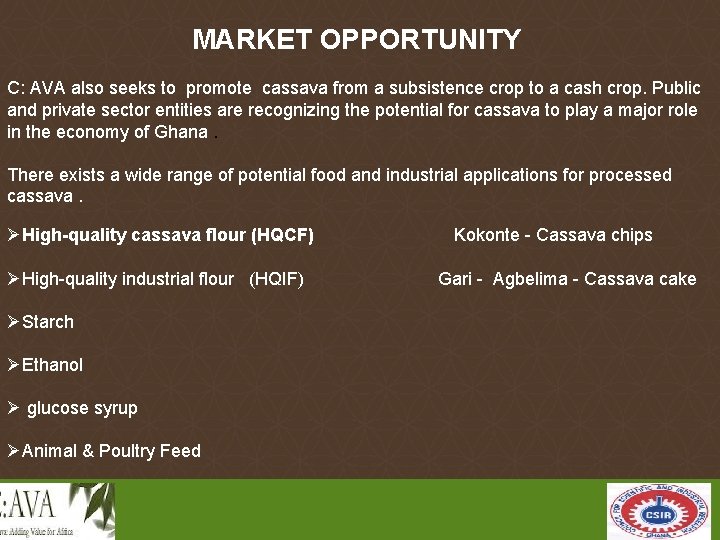 MARKET OPPORTUNITY C: AVA also seeks to promote cassava from a subsistence crop to