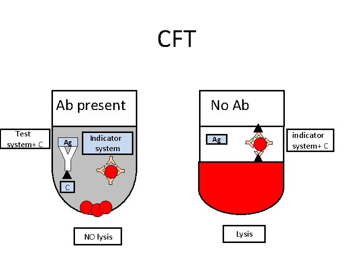 CFT Ab present Test system+ C Ag Indicator system No Ab indicator system+ C