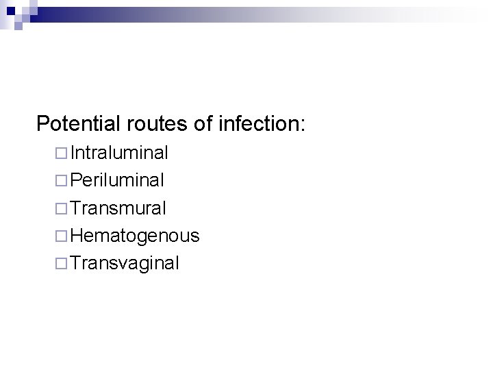  Potential routes of infection: ¨ Intraluminal ¨ Periluminal ¨ Transmural ¨ Hematogenous ¨
