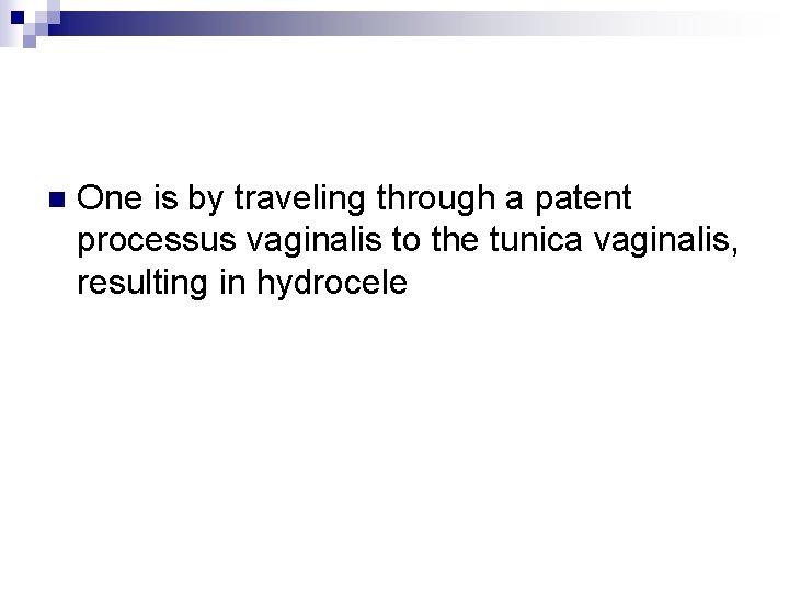 n One is by traveling through a patent processus vaginalis to the tunica vaginalis,