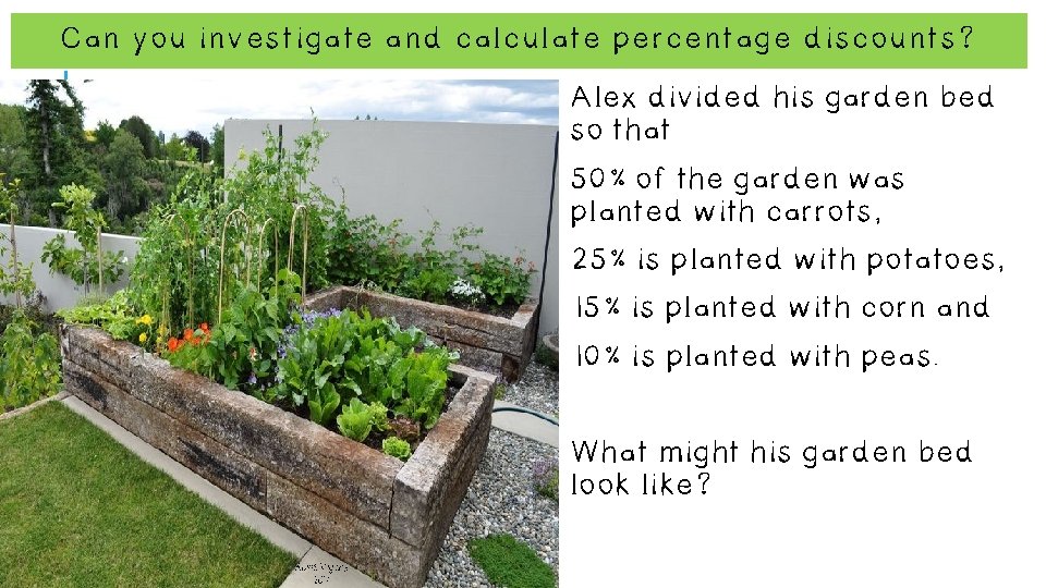 Can you investigate and calculate percentage discounts? Alex divided his garden bed so that Can you investigate and calculate percentage discounts? Alex divided his garden bed so that