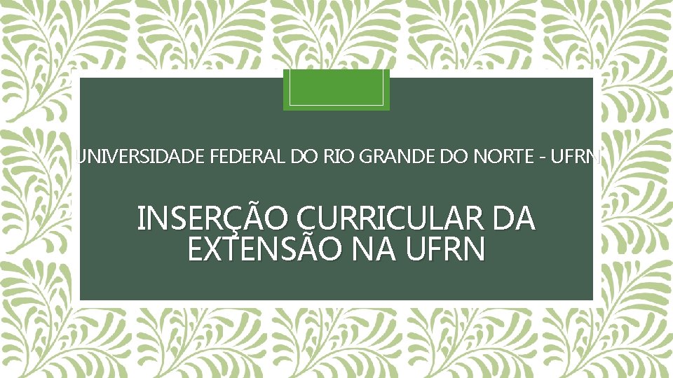 UNIVERSIDADE FEDERAL DO RIO GRANDE DO NORTE - UFRN INSERÇÃO CURRICULAR DA EXTENSÃO NA UNIVERSIDADE FEDERAL DO RIO GRANDE DO NORTE - UFRN INSERÇÃO CURRICULAR DA EXTENSÃO NA