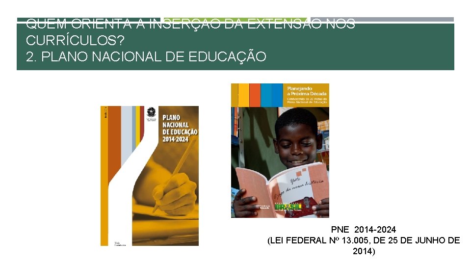 QUEM ORIENTA A INSERÇÃO DA EXTENSÃO NOS CURRÍCULOS? 2. PLANO NACIONAL DE EDUCAÇÃO PNE QUEM ORIENTA A INSERÇÃO DA EXTENSÃO NOS CURRÍCULOS? 2. PLANO NACIONAL DE EDUCAÇÃO PNE
