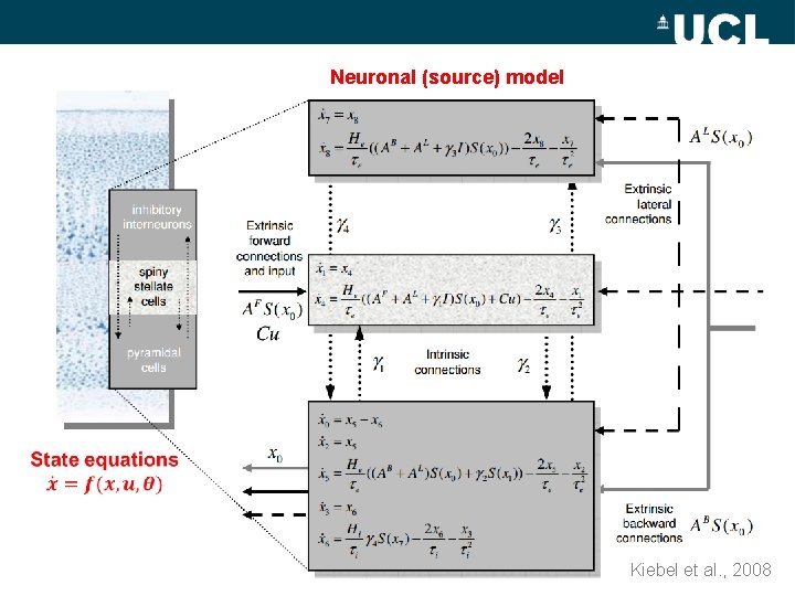 Neuronal (source) model Kiebel et al. , 2008 