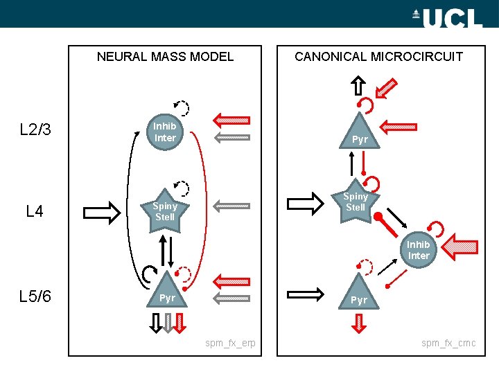 NEURAL MASS MODEL L 2/3 L 4 Inhib Inter CANONICAL MICROCIRCUIT x v Pyr