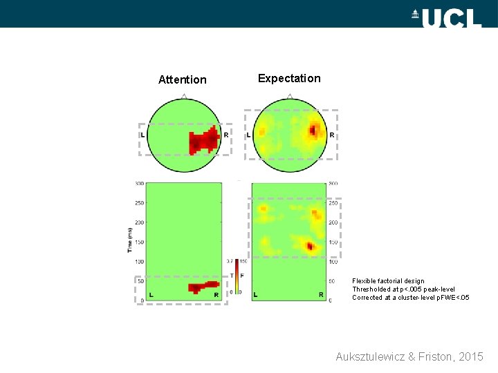 Expectation Flexible factorial design Thresholded at p<. 005 peak-level Corrected at a cluster-level p.