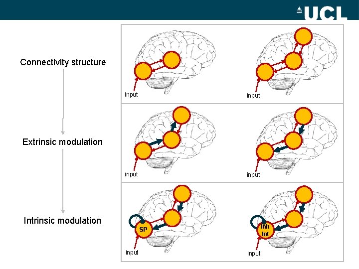 Connectivity structure input Extrinsic modulation Inh Int SP input 