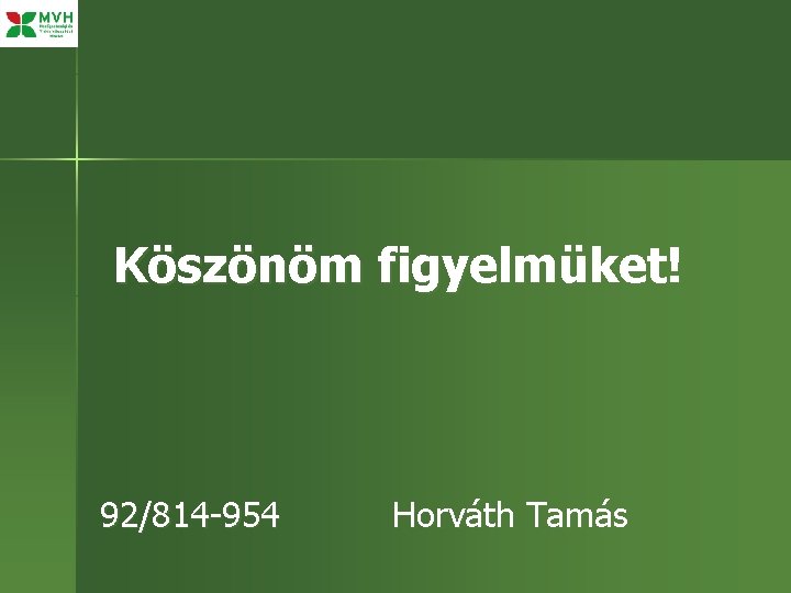 Köszönöm figyelmüket! 92/814 -954 Horváth Tamás 