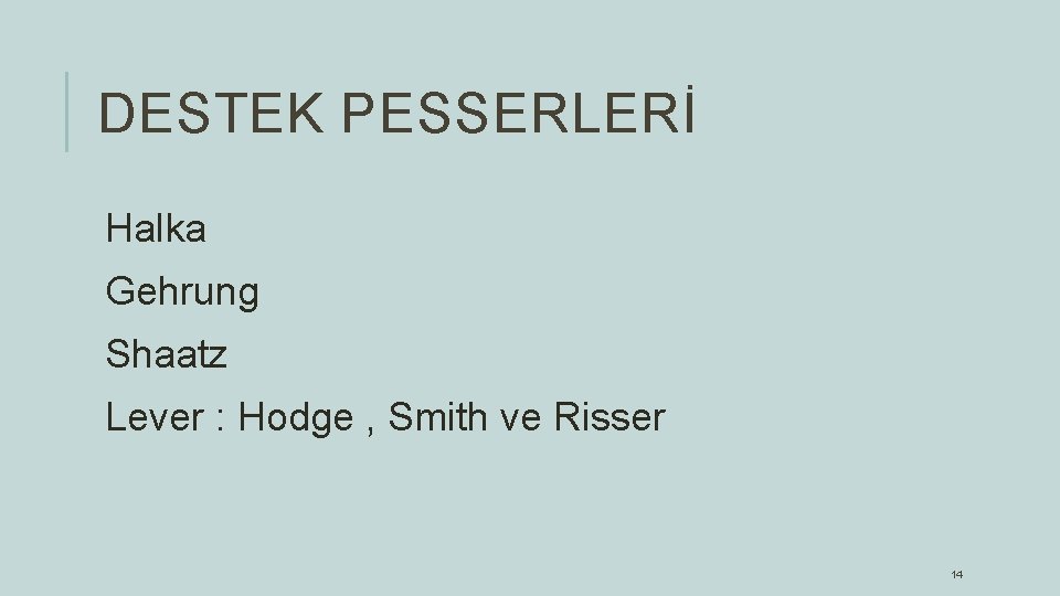 DESTEK PESSERLERİ Halka Gehrung Shaatz Lever : Hodge , Smith ve Risser 14 