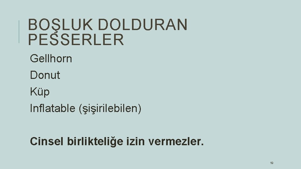 BOŞLUK DOLDURAN PESSERLER Gellhorn Donut Küp Inflatable (şişirilebilen) Cinsel birlikteliğe izin vermezler. 19 