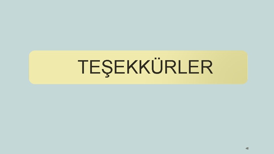 TEŞEKKÜRLER 45 