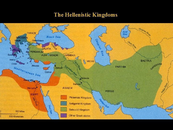 The Hellenistic Kingdoms 