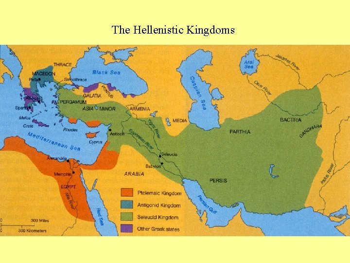 The Hellenistic Kingdoms 