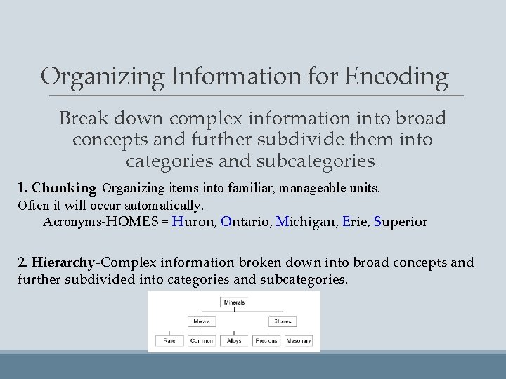 Organizing Information for Encoding Break down complex information into broad concepts and further subdivide