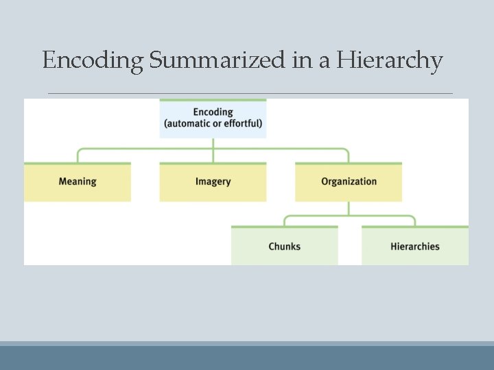 Encoding Summarized in a Hierarchy 