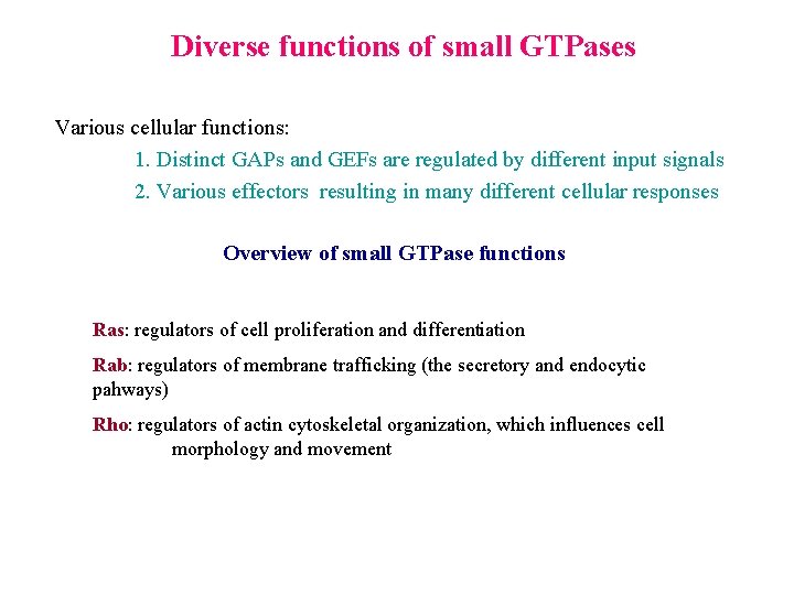 Diverse functions of small GTPases Various cellular functions: 1. Distinct GAPs and GEFs are