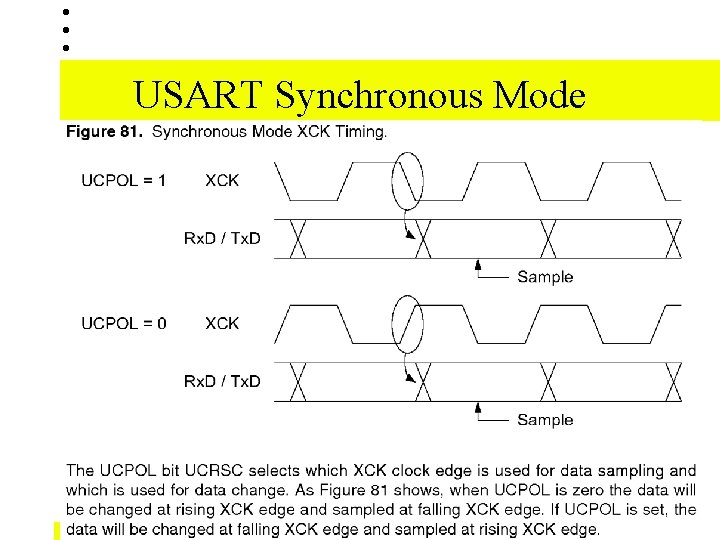 USART Synchronous Mode 