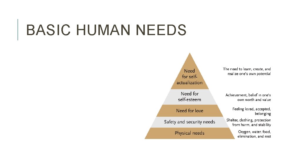 BASIC HUMAN NEEDS 