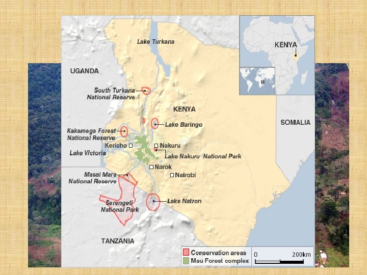 Mau Forest Overview 