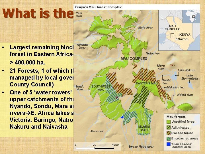 What is the Mau forest? • Largest remaining block of montane forest in Eastern