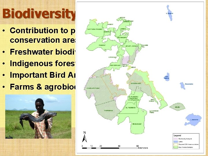 Biodiversity values • Contribution to priority wildlife conservation areas • Freshwater biodiversity • Indigenous