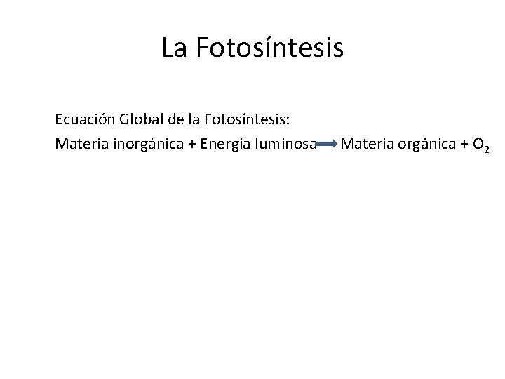 La Fotosíntesis Ecuación Global de la Fotosíntesis: Materia inorgánica + Energía luminosa Materia orgánica